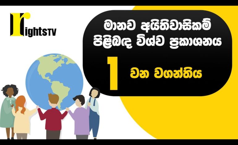 මානව අයිතිවාසිකම් පිළිබඳ විශ්ව ප්‍රකාශනය – 1 වන වගන්තිය