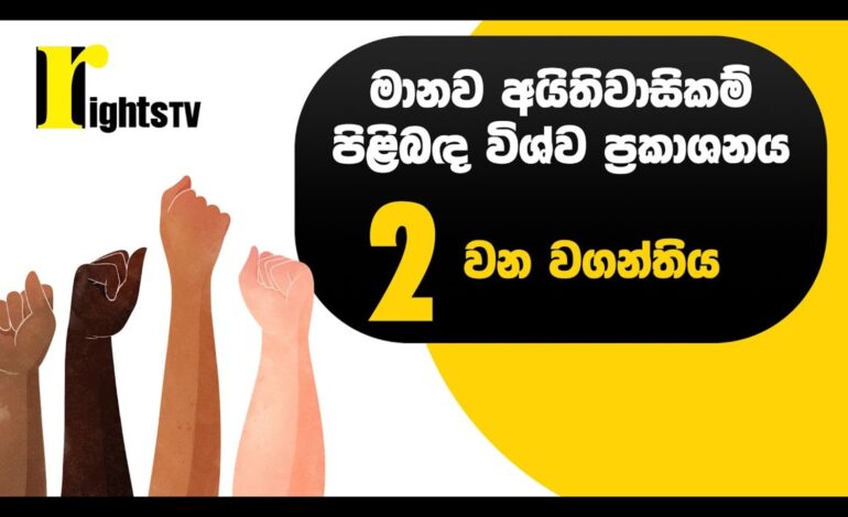 මානව අයිතිවාසිකම් පිළිබඳ විශ්ව ප්‍රකාශනය – 2 වන වගන්තිය