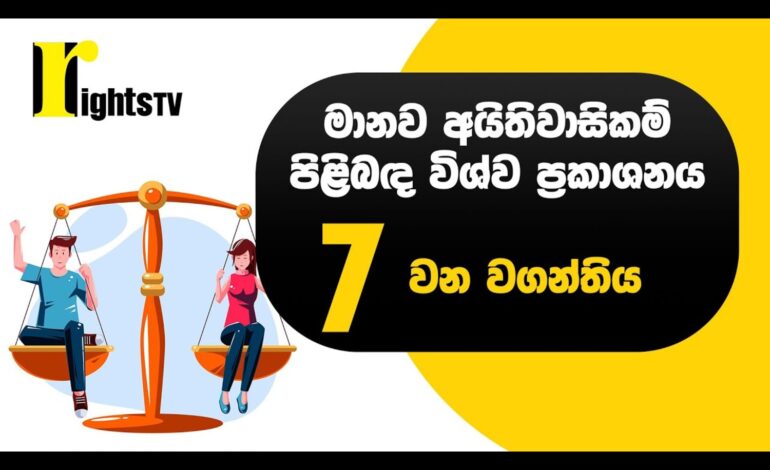 මානව අයිතිවාසිකම් පිළිබඳ විශ්ව ප්‍රකාශනය – 7 වන වගන්තිය