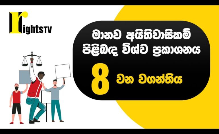 මානව අයිතිවාසිකම් පිළිබඳ විශ්ව ප්‍රකාශනය – 8 වන වගන්තිය