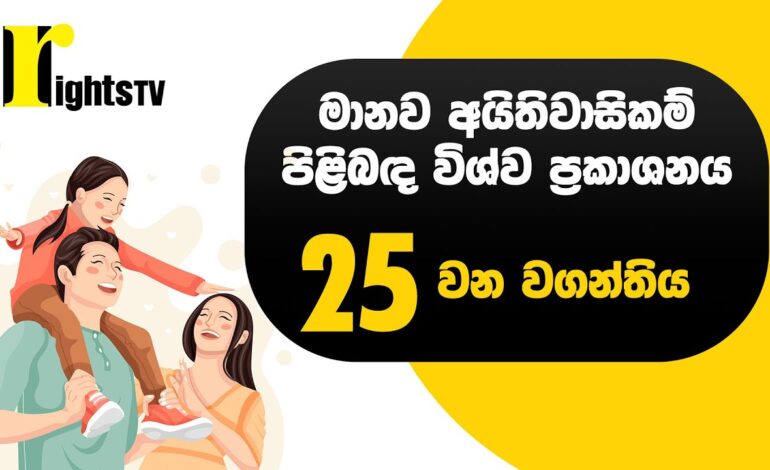 මානව අයිතිවාසිකම් පිළිබඳ විශ්ව ප්‍රකාශනය – 25 වන වගන්තිය