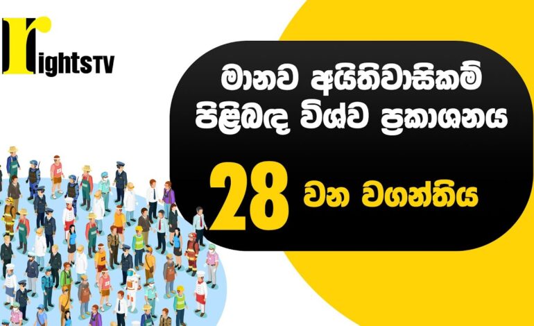 මානව අයිතිවාසිකම් පිළිබඳ විශ්ව ප්‍රකාශනය – 28 වන වගන්තිය