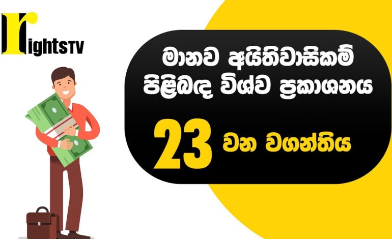 මානව අයිතිවාසිකම් පිළිබඳ විශ්ව ප්‍රකාශනය – 23 වන වගන්තිය