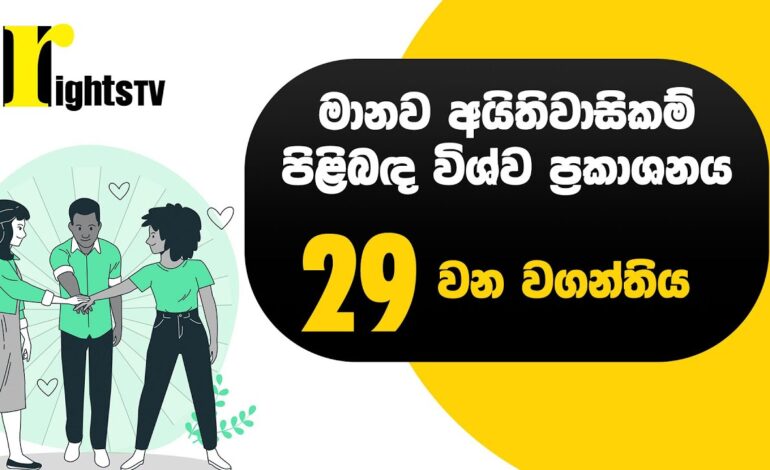 මානව අයිතිවාසිකම් පිළිබඳ විශ්ව ප්‍රකාශනය – 29 වන වගන්තිය