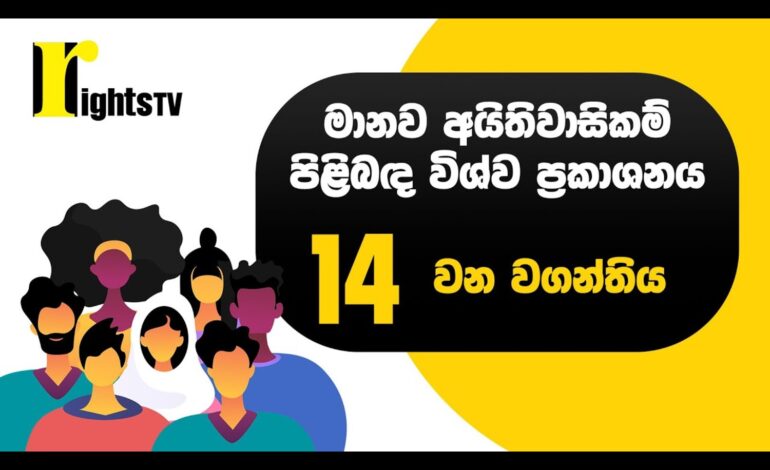 මානව අයිතිවාසිකම් පිළිබඳ විශ්ව ප්‍රකාශනය – 14 වන වගන්තිය