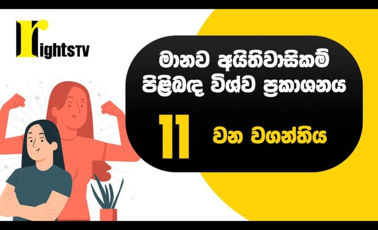 මානව අයිතිවාසිකම් පිළිබඳ විශ්ව ප්‍රකාශනය – 11 වන වගන්තිය