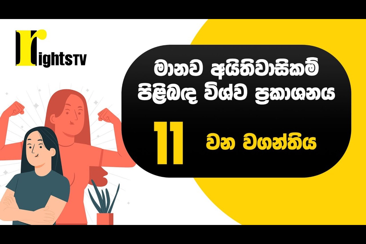 මානව අයිතිවාසිකම් පිළිබඳ විශ්ව ප්‍රකාශනය – 11 වන වගන්තිය